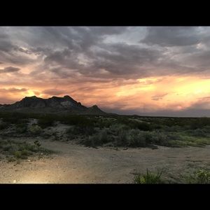 Meet your Posher, Nicholas